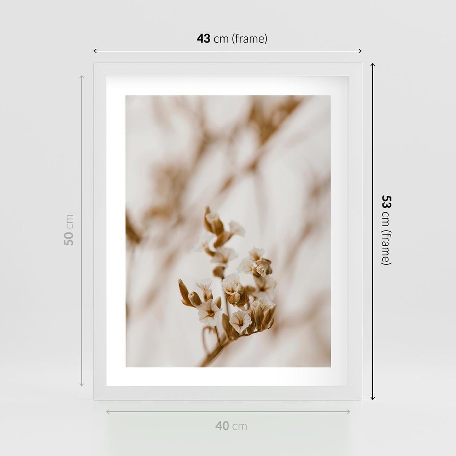 Plakat w ramie 40x50 - Kwiatowa suchość - kwiaty, susz - rama biała