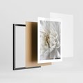 Plakat w ramie 30x40 - Białe Kwiaty Delikatności - białe, kwiaty - rama czarna