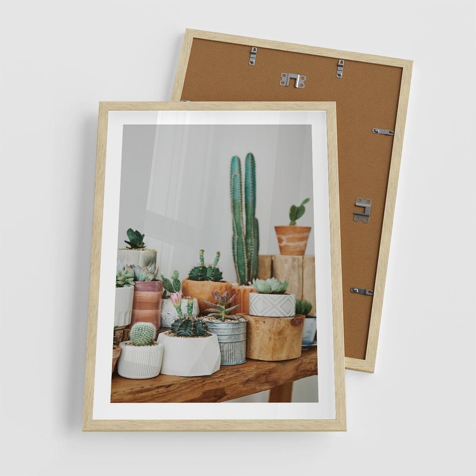 Plakat w ramie 50x70 - Kaktusowa Galeria w Doniczkach - kaktusy w doniczkach, fotografia - rama drewno