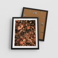 Plakat w ramie 40x50 - Jesienny Splot: Pomarańczowe Liście - liście, pomarańczowe suche liście - rama czarna
