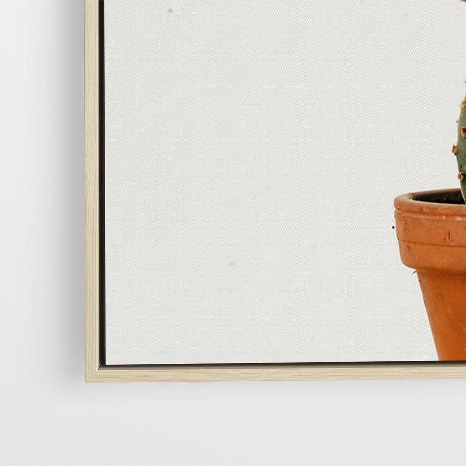 Obraz w ramie 100x70 - Kwiatowy taniec kaktusa - kaktus, kwiat - rama drewno