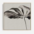 Obraz w ramie 50x50 - Szepczący Liść - szkic, czarno biały - rama drewno