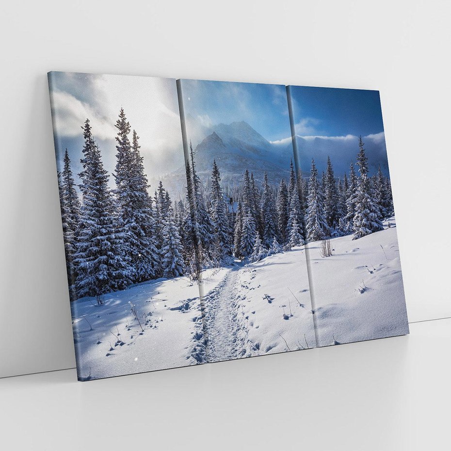 Obraz na płótnie 120x80 - Zimowe góry w lesie - góry, zima