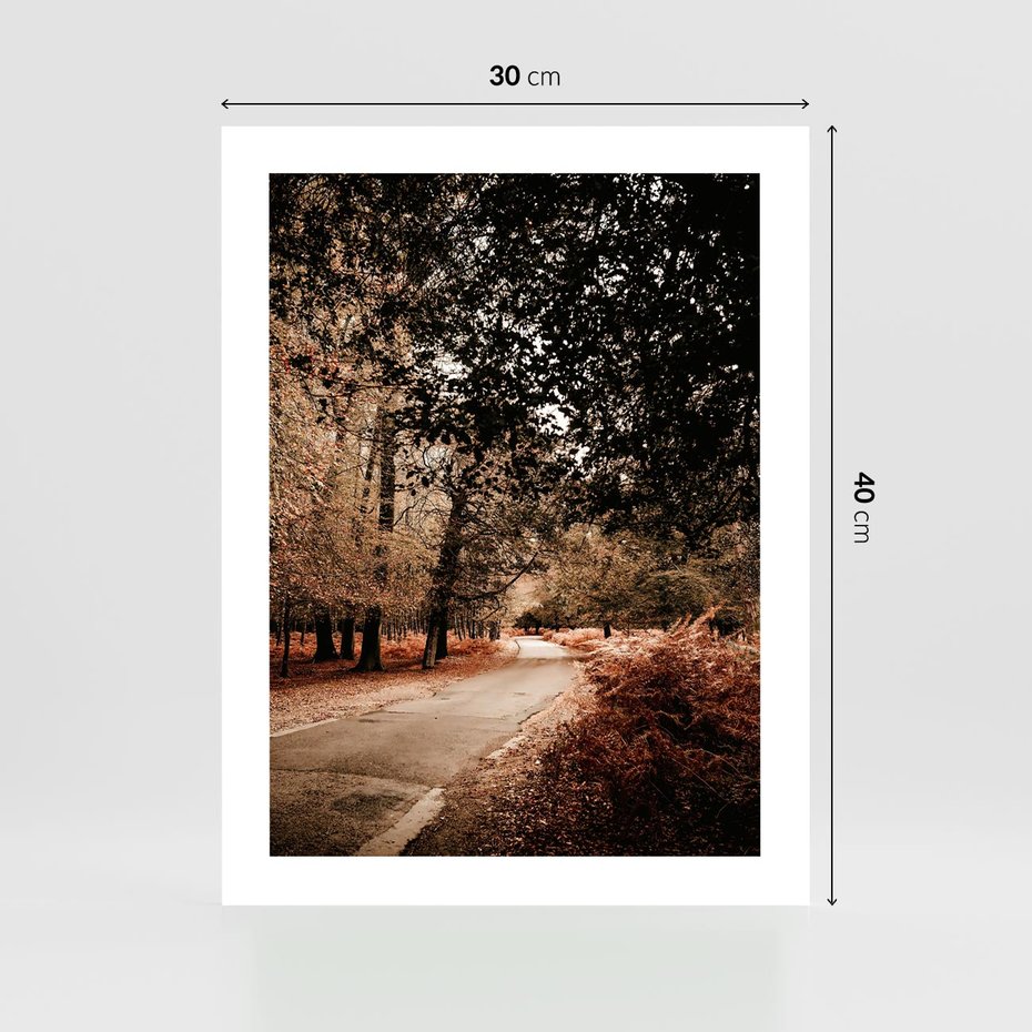 Plakat bez ramy 30x40 - Magia Jesieni: Pejzaż Parku w Odcieniach Żółci - jesień, park