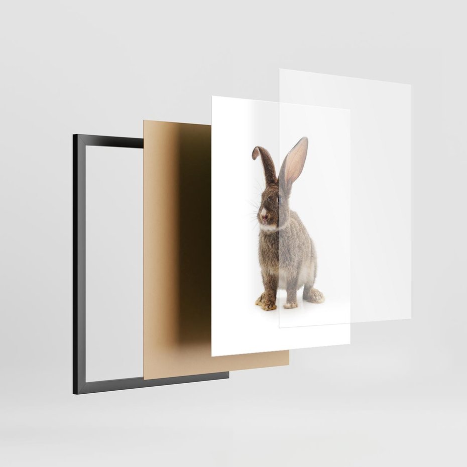 Plakat w ramie 30x40 - Delikatna Zwierzęca Uroda - królik, zwierzę - rama czarna