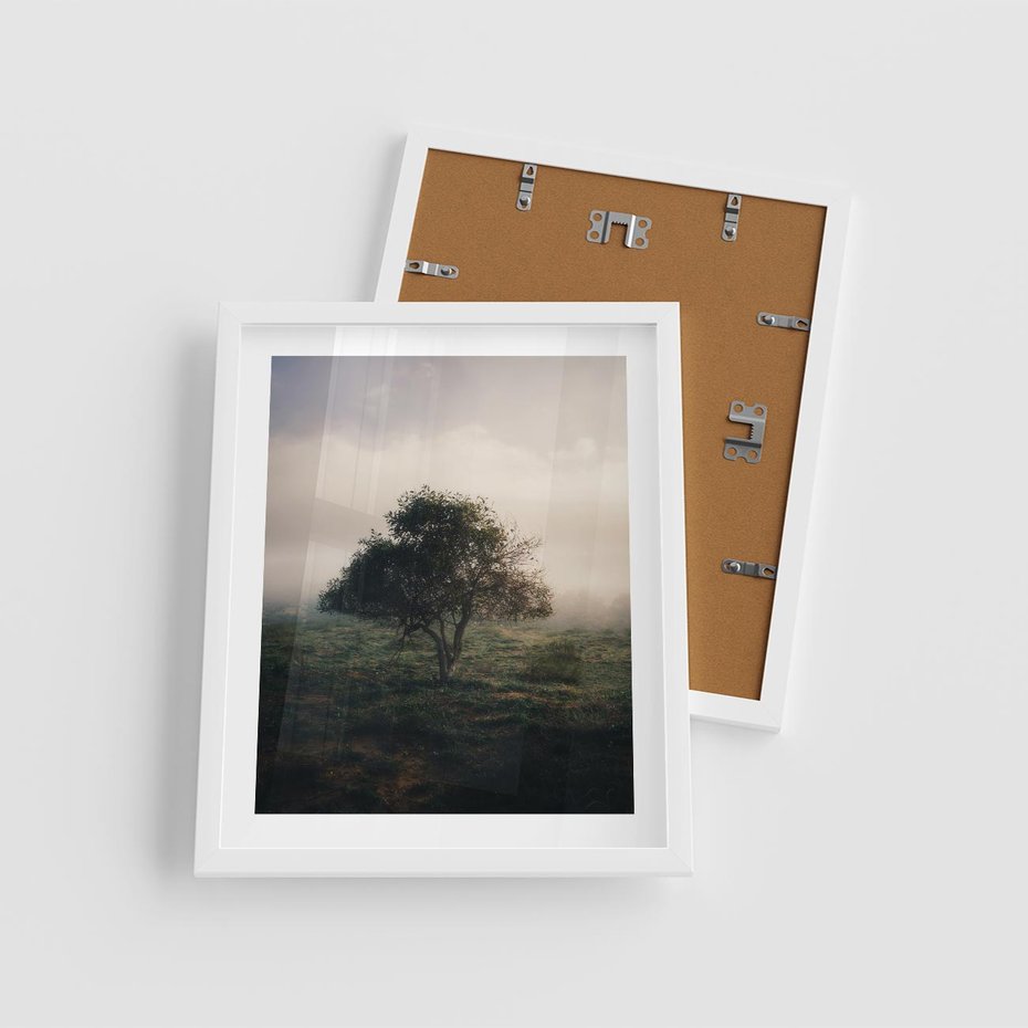 Plakat w ramie 40x50 - Zamglona Prostota - artystyczna fotografia, samotne drzewo na zamglonej łące - rama biała