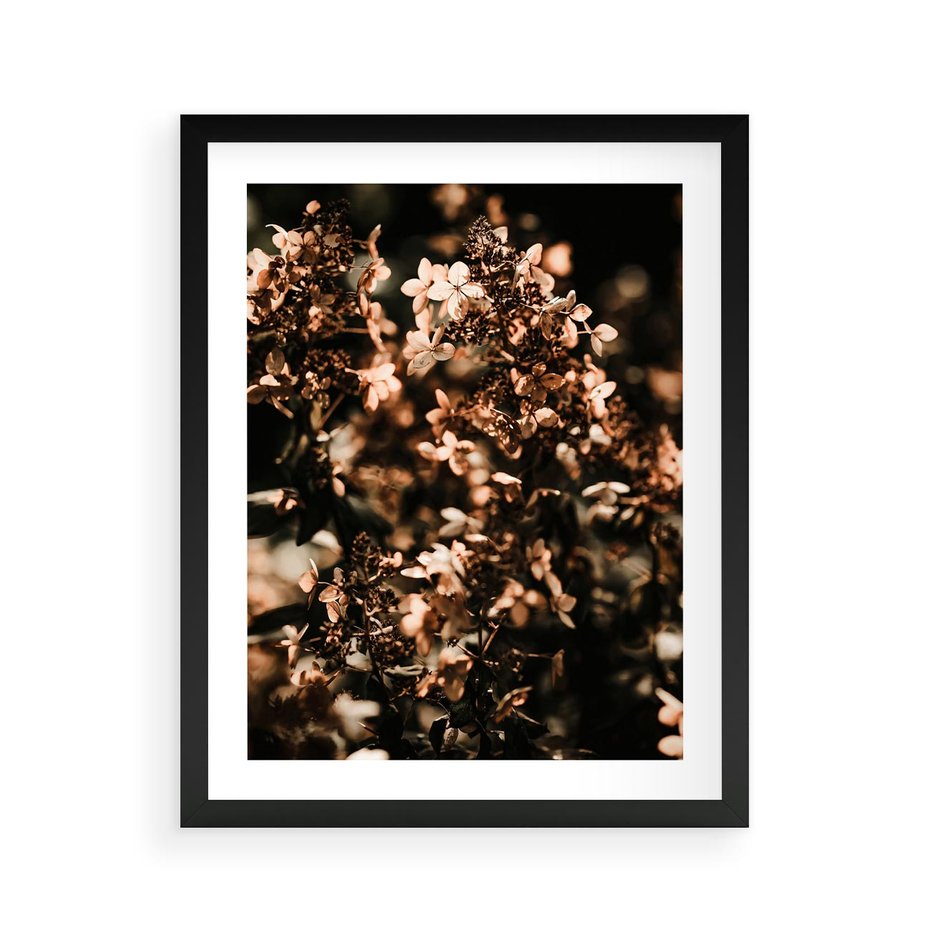Plakat w ramie 40x50 - Sucha Kompozycja Kwiatów - suche kwiaty hortensji - rama czarna