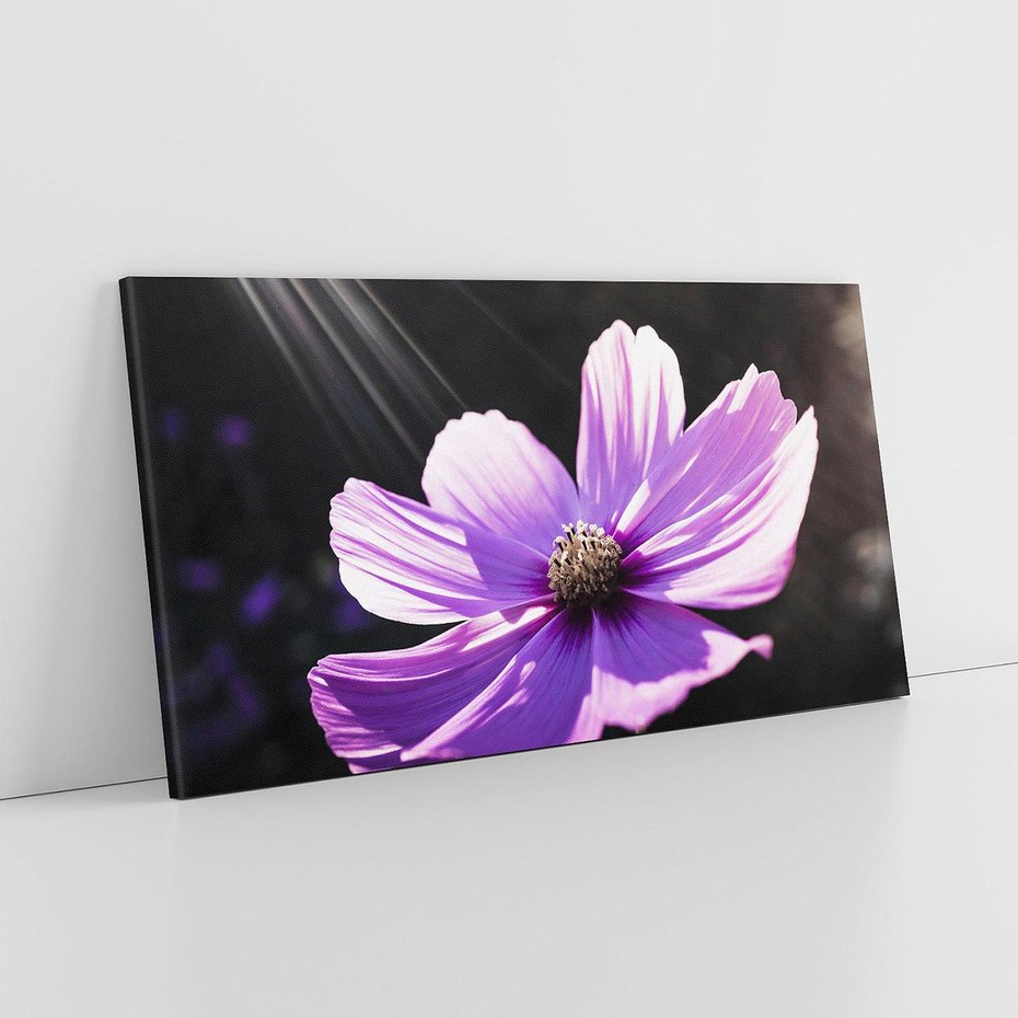 Obraz na płótnie 140x70 - Kwiatowy taniec natury - kwiat, kwiaty