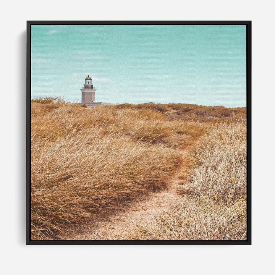 Obraz w ramie 50x50 - Tajemnicza Ścieżka - latarnia morska w oddali, suche trawy - rama czarna