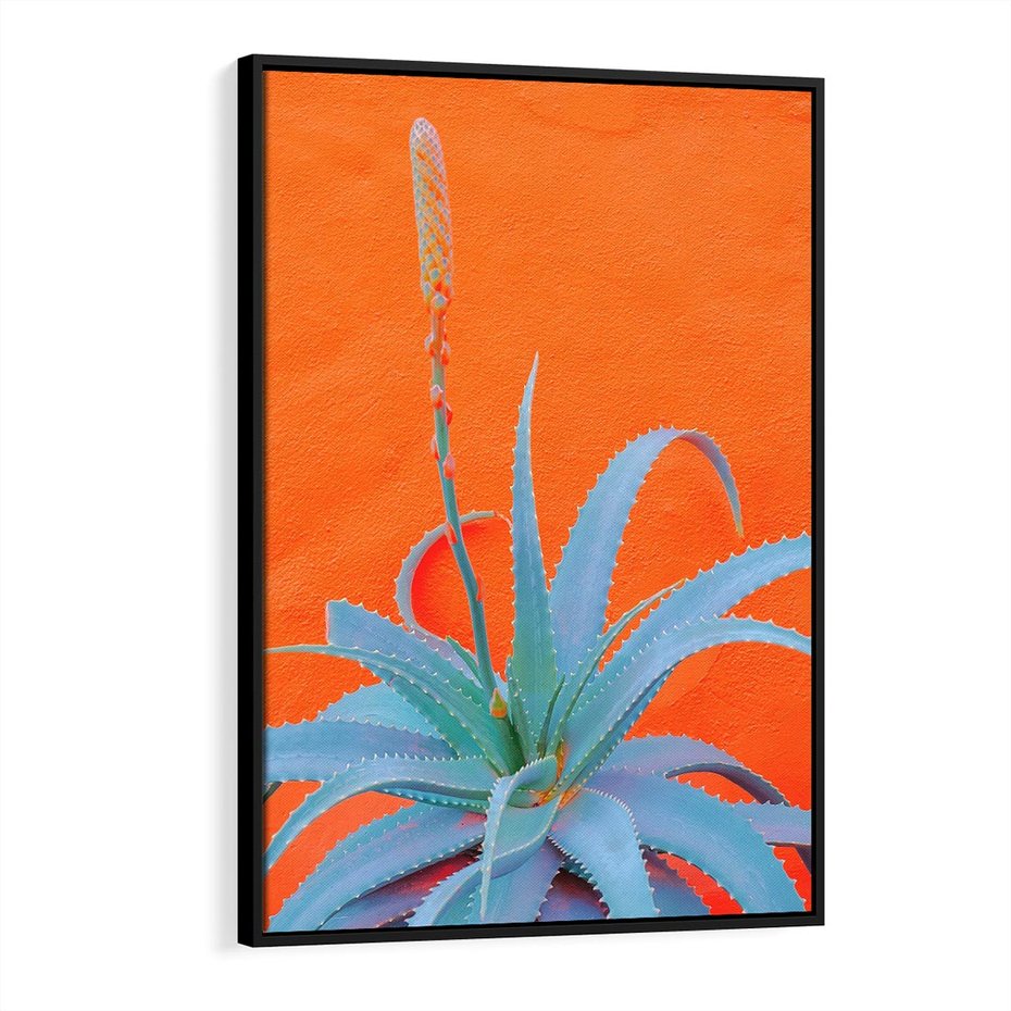 Obraz w ramie 50x70 - Naturalna Harmonia - kaktusy, liście - rama czarna