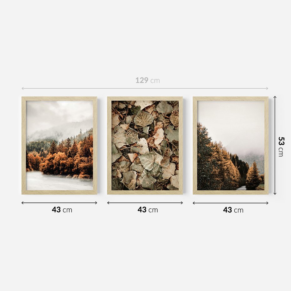 Zestaw obrazy w ramie 40x50 galeria - Krajobraz, góry, jesień, liście - rama drewno