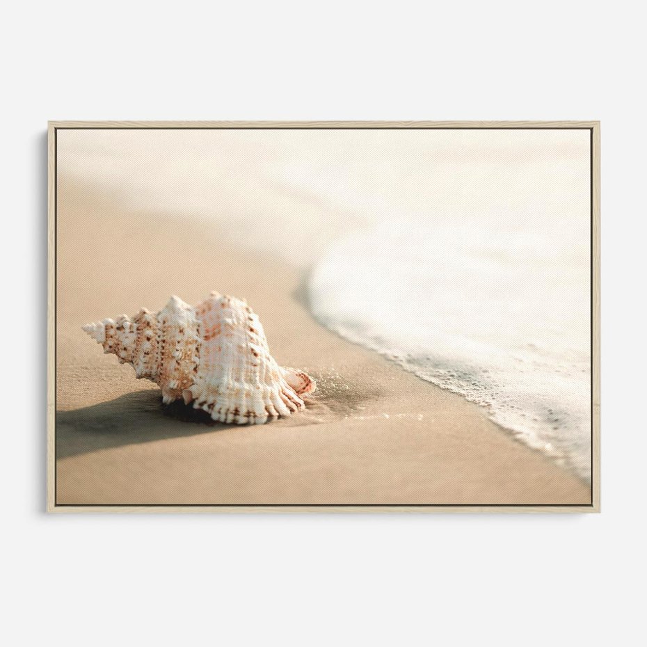 Obraz w ramie 120x80 - Urok plażowej muszelki - fotografia, muszla na plaży - rama drewno