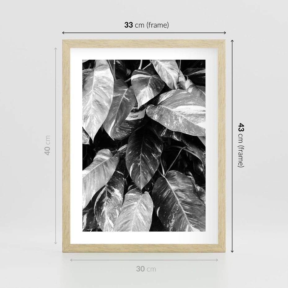 Plakat w ramie 30x40 - Liście w Czarno-Białej Fotografii - liście, roślina - rama drewno