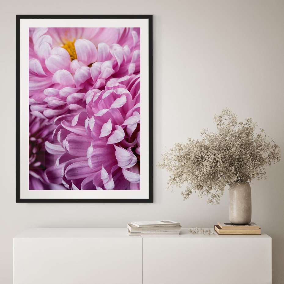 Plakat w ramie 40x50 - Fioletowy zawrót głowy - kwiat, różowy kwiat - rama czarna