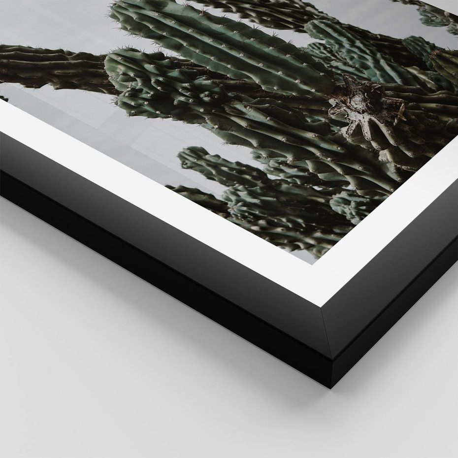 Plakat w ramie 50x70 - Boho oaza wśród kaktusów - kaktusy, pustynia - rama czarna