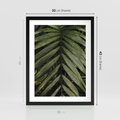 Plakat w ramie 30x40 - W Liściach Ukryte - zdjęcie, fotografia - rama czarna