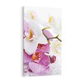 Obraz na płótnie 50x70 - Magia kwiatów - kwiaty