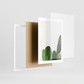 Plakat w ramie 30x40 - Minimalizm Natury - kaktus, zbliżenie - rama biała