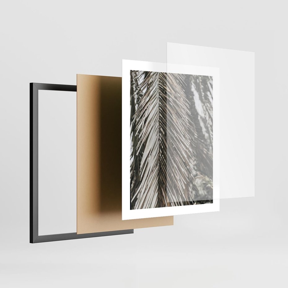 Plakat w ramie 40x50 - Egzotyczne Gałęzie - suche gałęzie, liście palmy - rama czarna