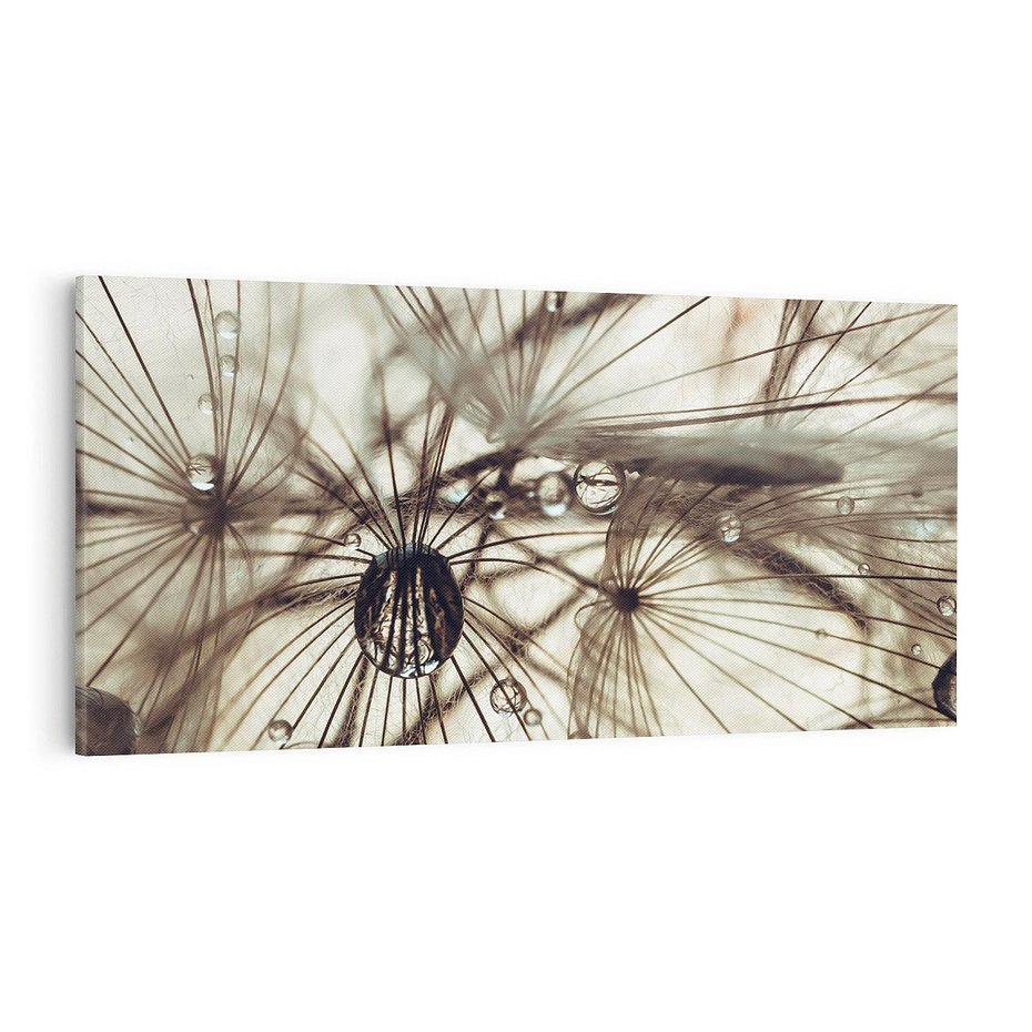 Obraz na płótnie 120x60 - Lekkie dmuchawce - dmuchawce, krople