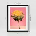 Plakat w ramie 40x50 - Majestatyczna monstera - monstera, liść - rama czarna