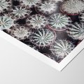 Plakat bez ramy 21x30 - Wzór Kaktusów - kaktusy w doniczkach, ujęcie z góry