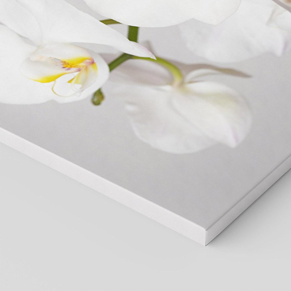 Obraz na płótnie 120x80 - kwiatowy urok - orchidea, kwiat