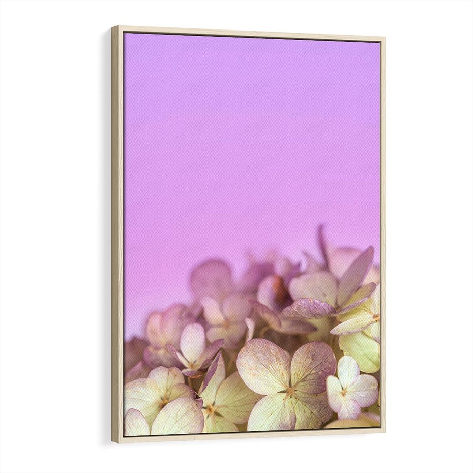 Obraz w ramie 80x120 - Kwiatowa Uroda - kwiaty, hortensje - rama drewno