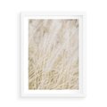 Plakat w ramie 50x70 - Białe Trawy Pampas - suche trawy, białe trawy - rama biała