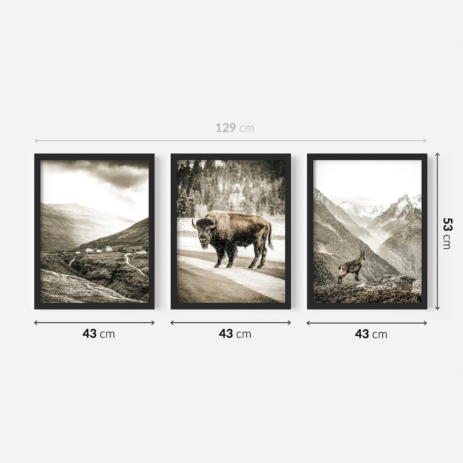 Zestaw obrazy w ramie 40x50 galeria - Góry, bizon, kozica - rama czarna