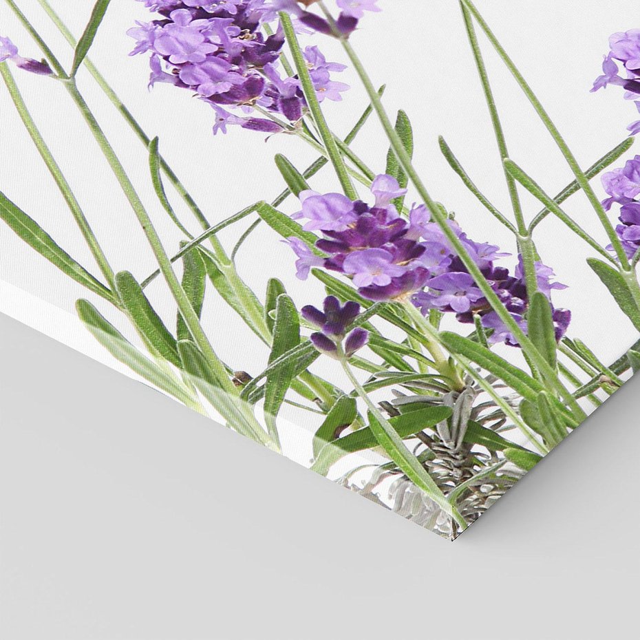 Obraz na płótnie 70x50 - Delikatny Urok - lawenda, kwiaty