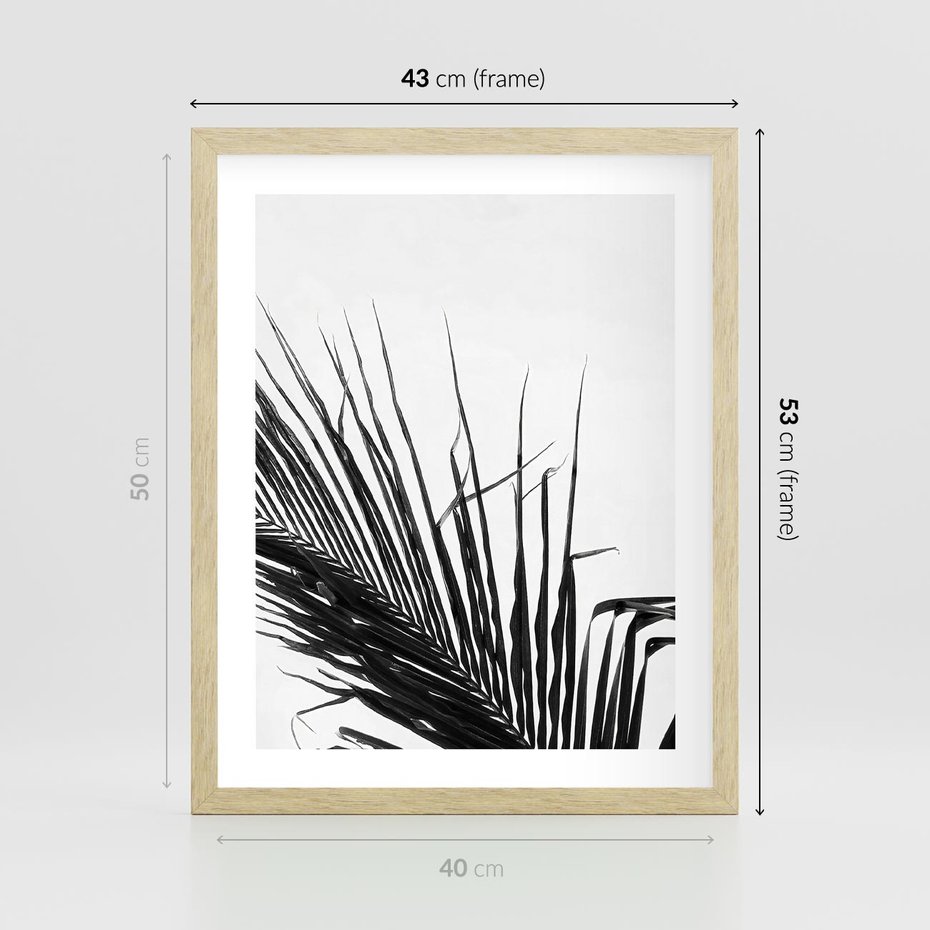 Plakat w ramie 40x50 - Sztuka Natury: Monochromatyczna Palma - palma, czarno białe zdjęcie - rama drewno