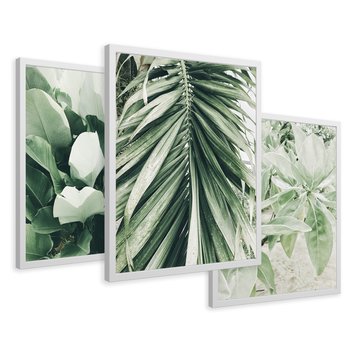 Zestaw obrazy w ramie 30x40 galeria - Liście, palma, monstera - rama biała