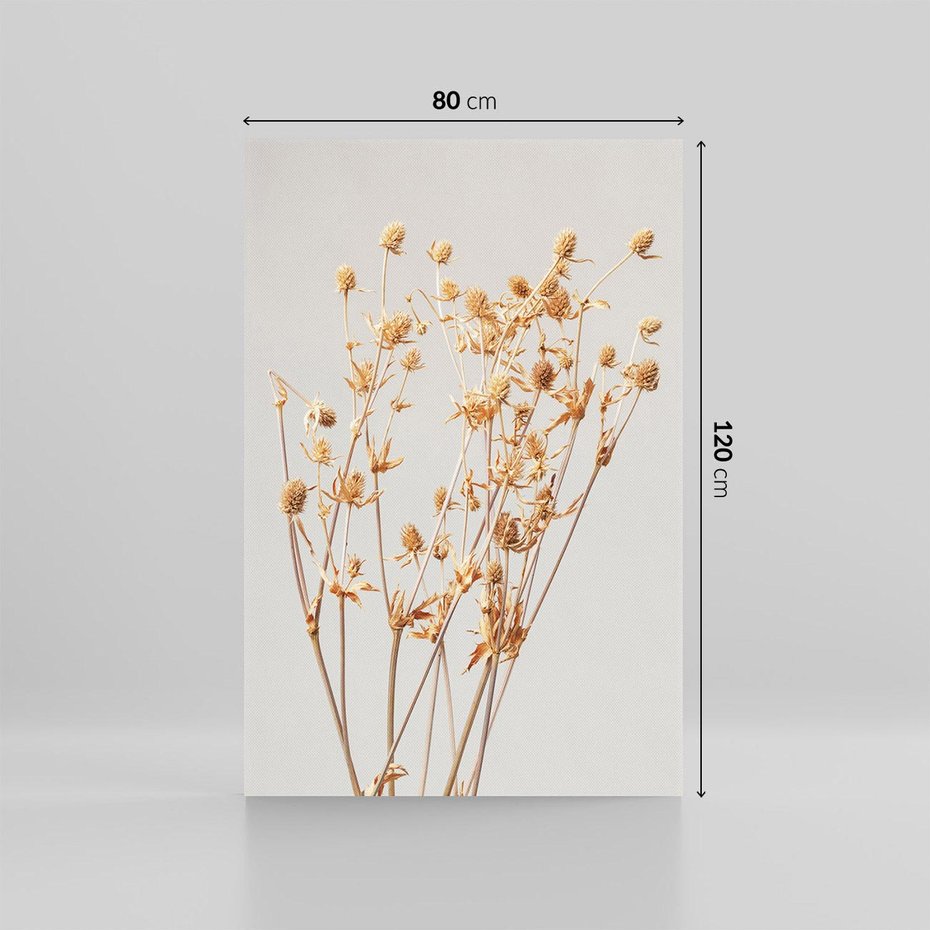 Obraz na płótnie 80x120 - Delikatne gipsówki - gipsówka, suche