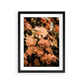 Plakat w ramie 40x50 - Ciepło Jesieni - jesienne pomarańczowe liśćie, jesień - rama czarna