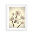 Plakat w ramie 40x50 - Elegancja Natury - magnolia, białe - rama biała