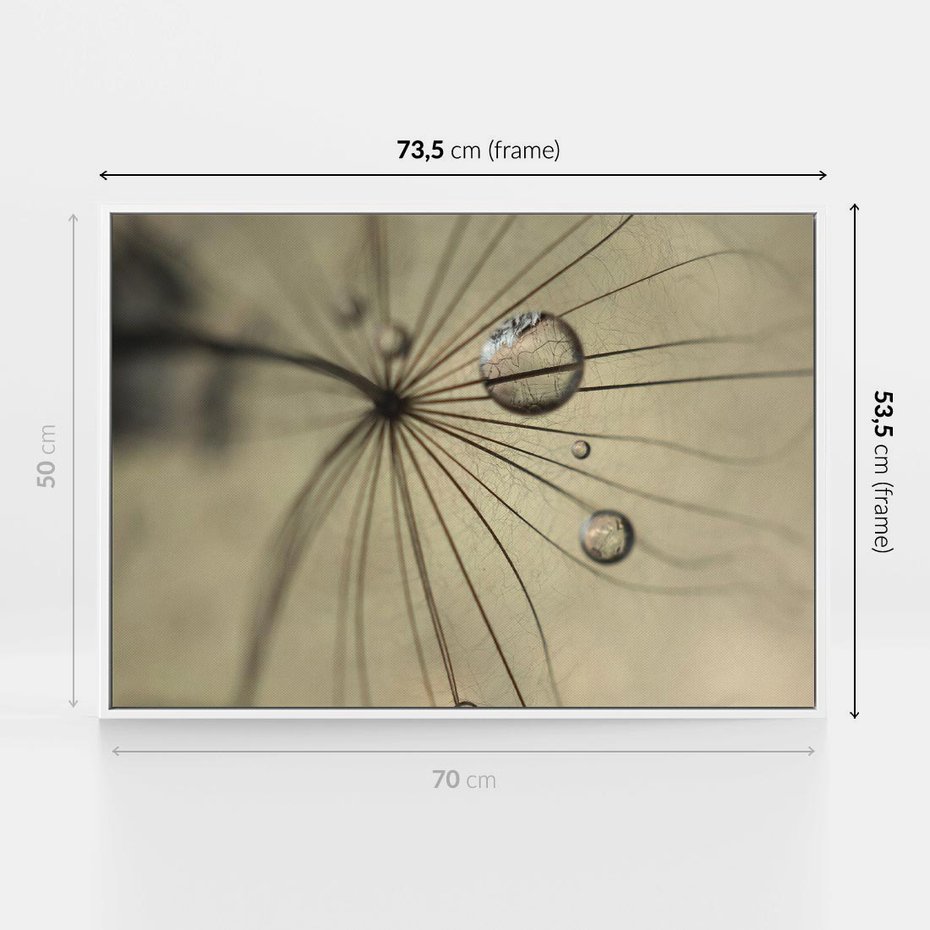 Obraz w ramie 70x50 - Delikatność dmuchawców - dmuchawce, krople - rama biała