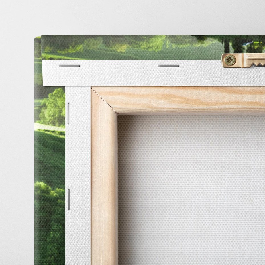 Obraz na płótnie 50x70 - Prowansja: malownicze winnice w kraju Włoch - Prowansja, Włochy