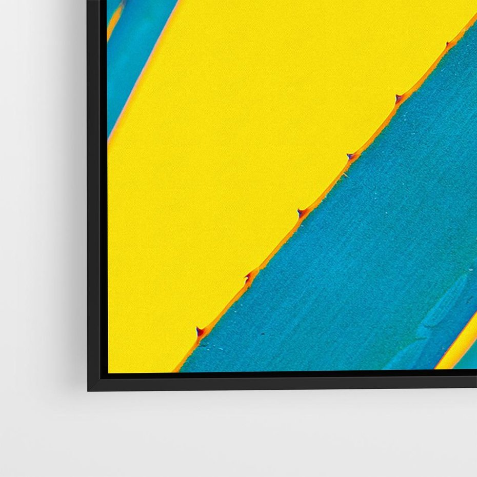 Obraz w ramie 70x50 - Świeżość Natury - aloes, liście - rama czarna