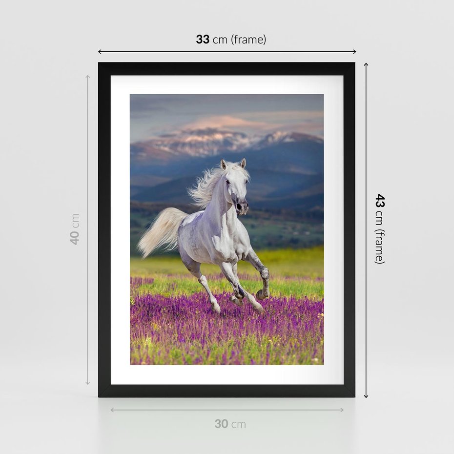 Plakat w ramie 30x40 - Koń Góry: Spotkanie z Wielką Przyrodą - koń, góry - rama czarna