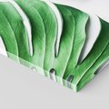 Obraz na płótnie 60x60 - Monstera - Liście Kwiaty - monstera, liście