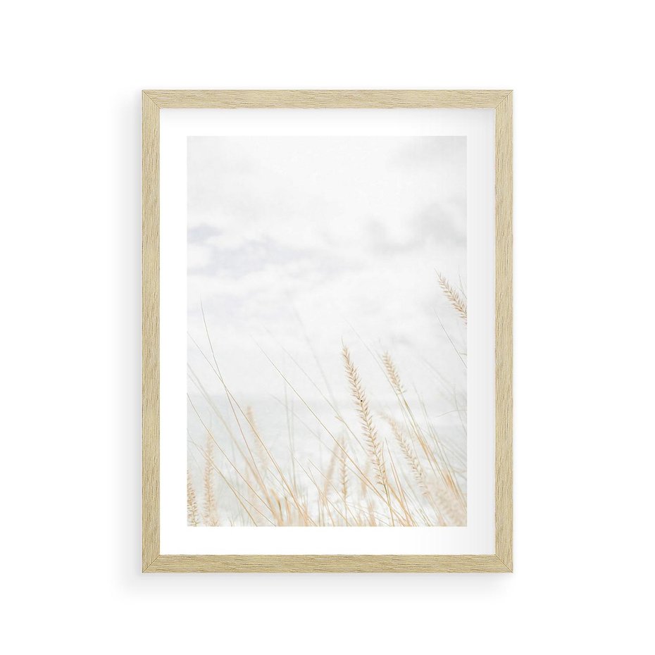 Plakat w ramie 30x40 - Jasna Delikatność: Fotografia Suchych Traw - suche trawy, jasna fotografia - rama drewno