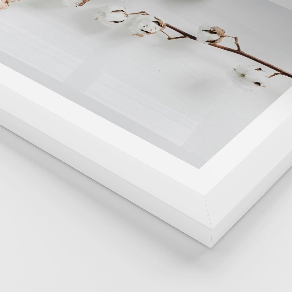 Plakat w ramie 30x40 - Gałęzie Bawełny na Białym Tle - gałęzie bawełny na białym tle, minimalizm - rama biała