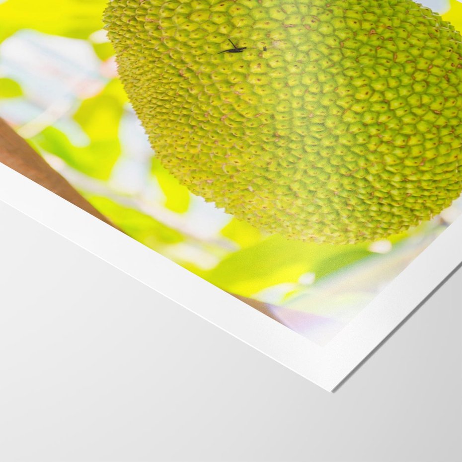 Plakat bez ramy 40x50 - Tropikalny raj nad morzem - tropikalny, owoc