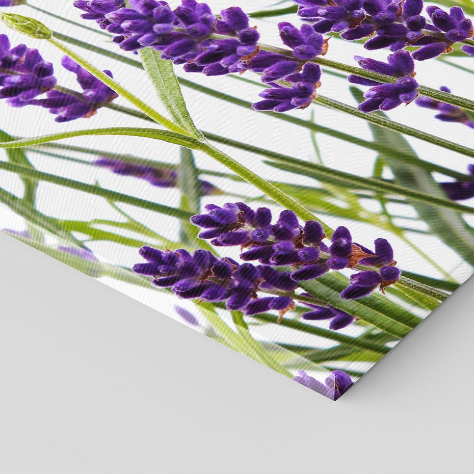 Obraz na płótnie 120x80 - Fioletowa harmonia lawendy - lawenda, fiolet