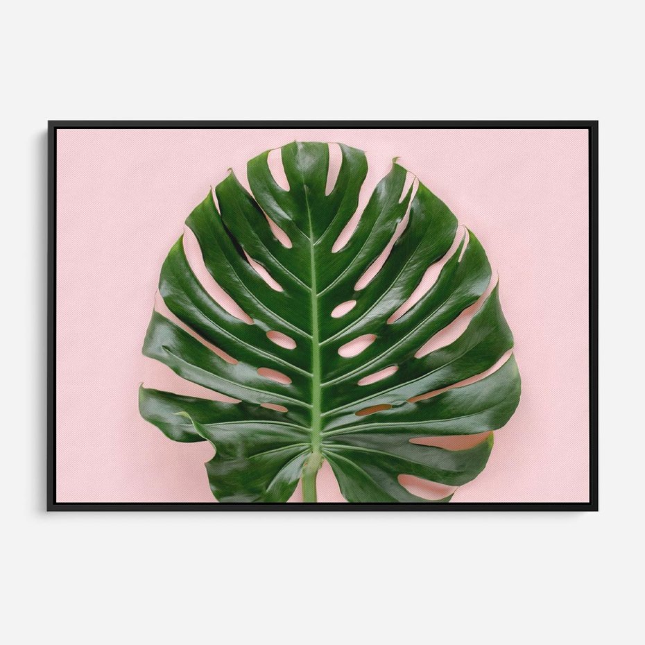 Obraz w ramie 70x50 - Egzotyczna Roślinność - liście, monstera - rama czarna