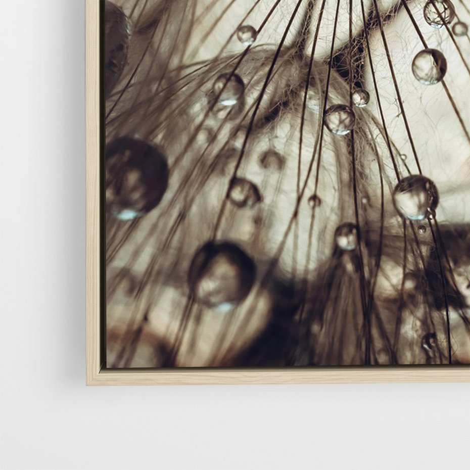 Obraz w ramie 80x120 - Lekkie dmuchawce - dmuchawce, krople - rama drewno