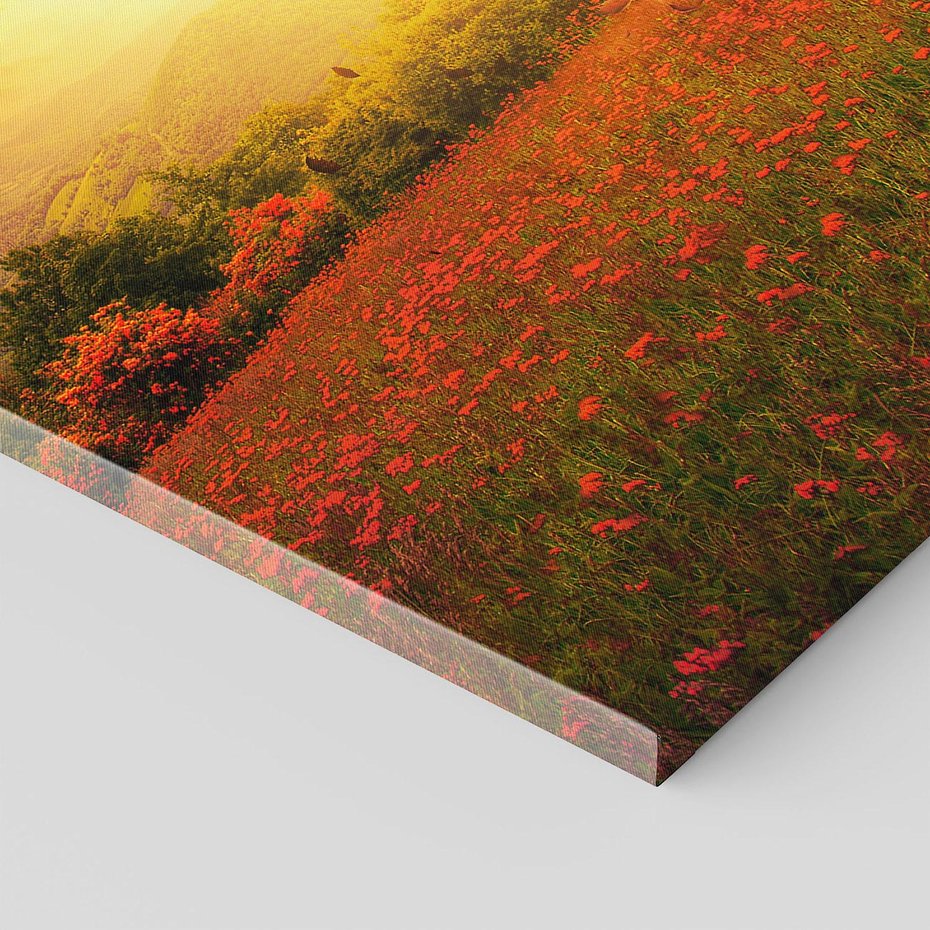 Obraz na płótnie 70x100 - serce natury - drzewo, serce