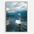 Obraz w ramie 50x70 - Łabędzi Śpiew - fotografia, plakat - rama drewno