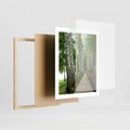Plakat w ramie 40x50 - Spacer ścieżką przez brzozowy las - las, ścieżka - rama drewno